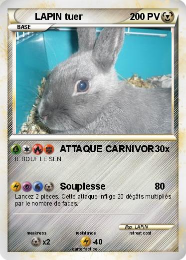 Pokemon LAPIN tuer