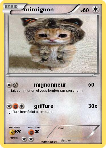 Pokemon mimignon