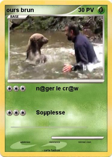 Pokemon ours brun