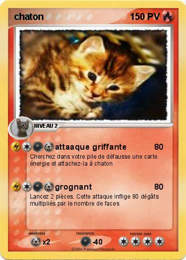 Pokemon chaton