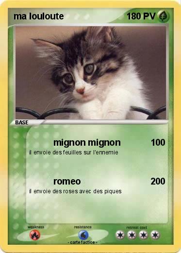 Pokemon ma louloute