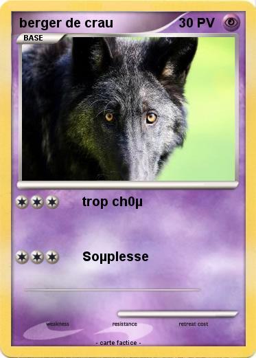 Pokemon berger de crau