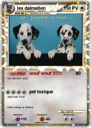 Pokemon les dalmatien