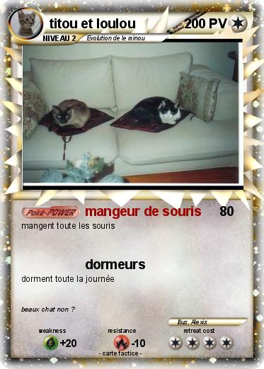 Pokemon titou et loulou