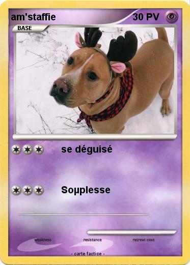 Pokemon am'staffie