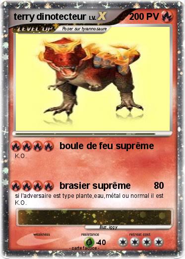 Pokemon terry dinotecteur