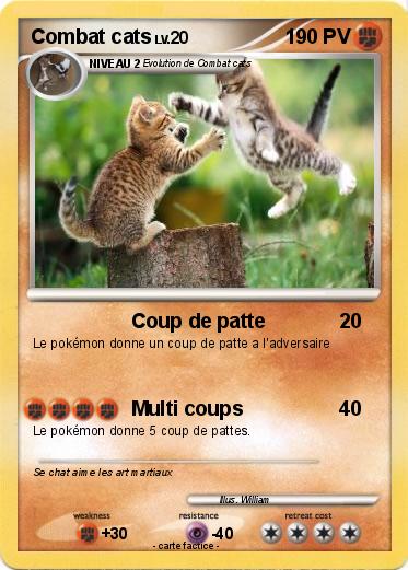 Pokemon Combat cats