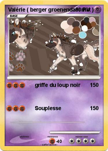 Pokemon Valérie ( berger groenendael mix )