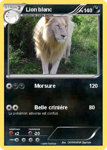 Pokemon Lion blanc
