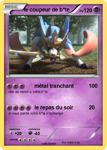 Pokemon le coupeur de b*te