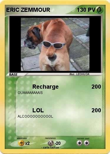 Pokemon ERIC ZEMMOUR