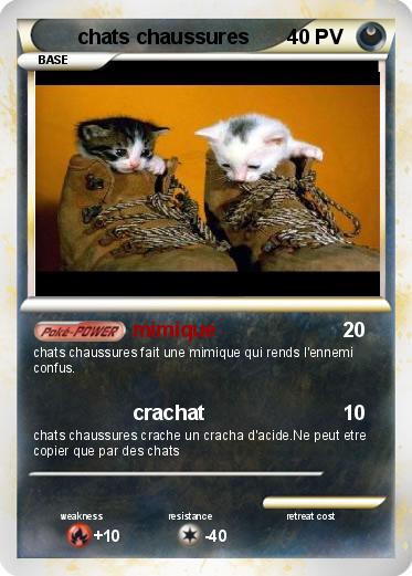 Pokemon chats chaussures