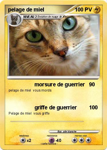 Pokemon pelage de miel