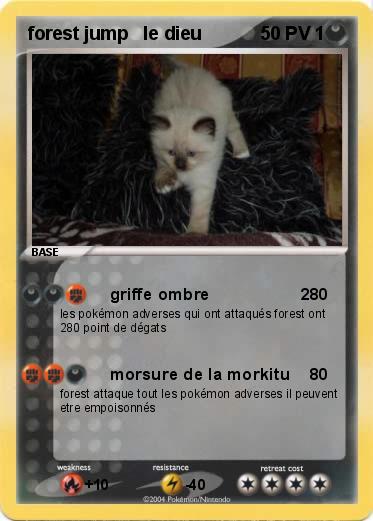 Pokemon forest jump   le dieu                      1