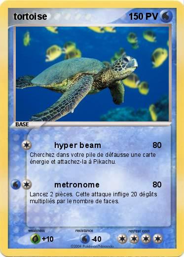 Pokemon tortoise