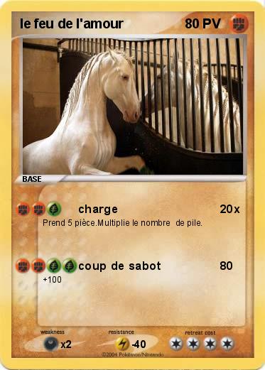 Pokemon le feu de l'amour