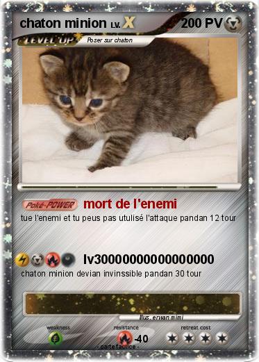 Pokemon chaton minion