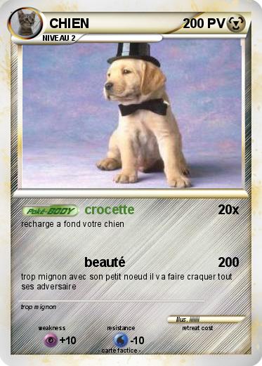 Pokemon Chien 841