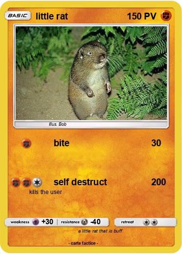 Pokemon little rat