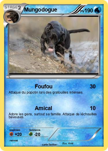 Pokemon Mungodogue
