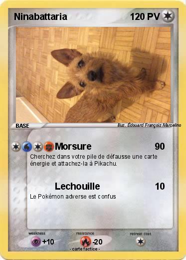 Pokemon Ninabattaria