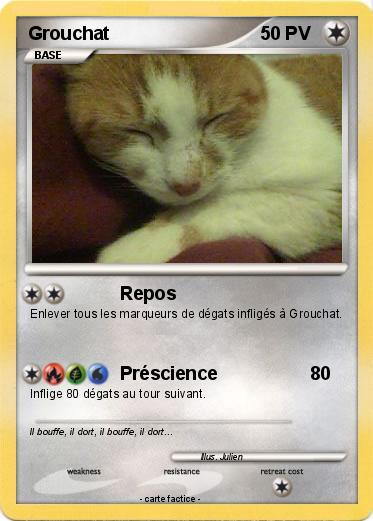 Pokemon Grouchat