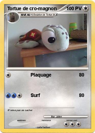 Pokemon Tortue de cro-magnon