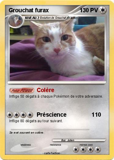 Pokemon Grouchat furax