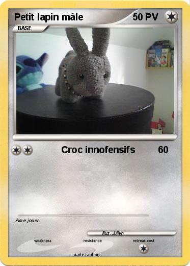 Pokemon Petit lapin mâle