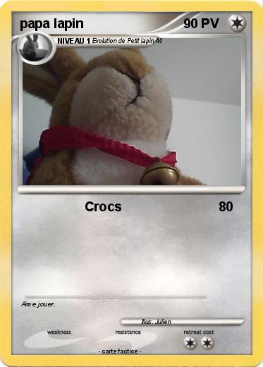 Pokemon papa lapin