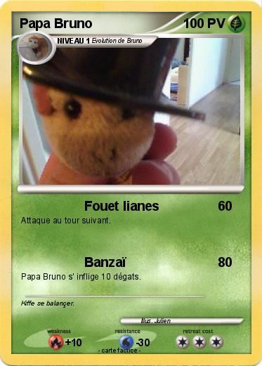 Pokemon Papa Bruno