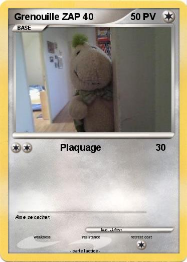 Pokemon Grenouille ZAP 40