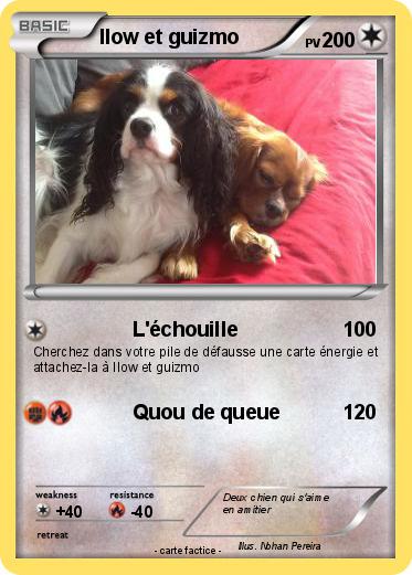 Pokemon Ilow et guizmo