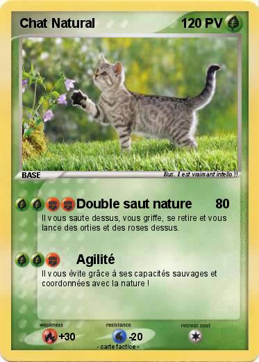 Pokemon Chat Natural