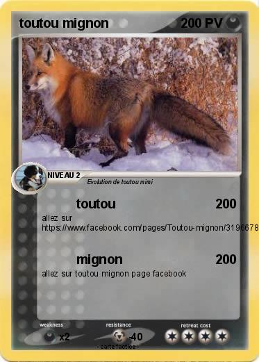Pokemon toutou mignon