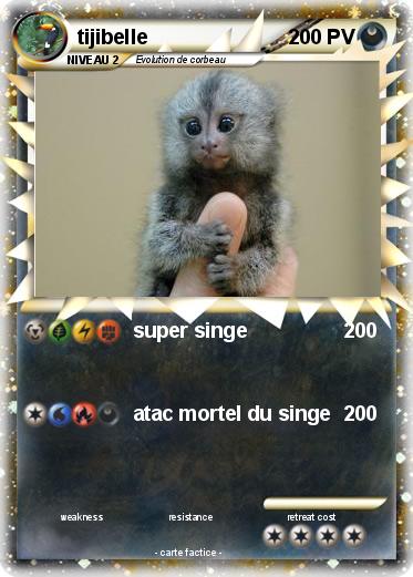 Pokemon tijibelle