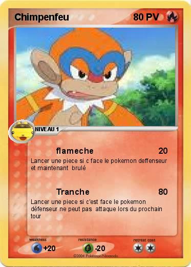 Pokemon Chimpenfeu 