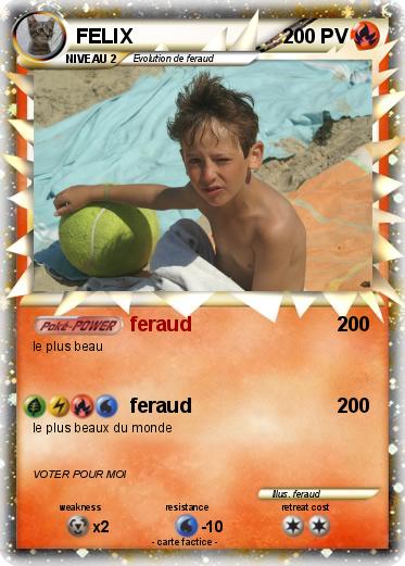 Pokemon FELIX