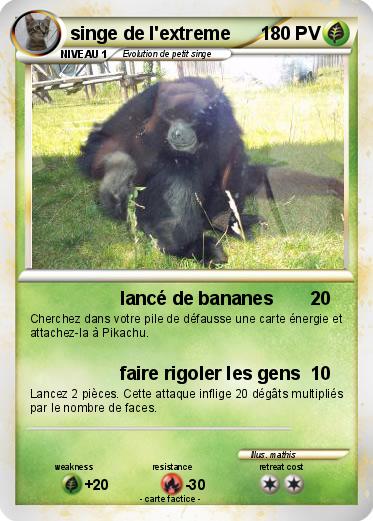 Pokemon singe de l'extreme