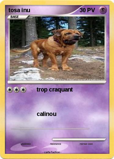 Pokemon tosa inu