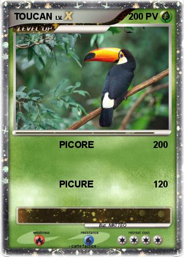 Pokemon TOUCAN