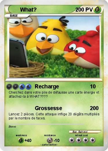 Pokemon What?