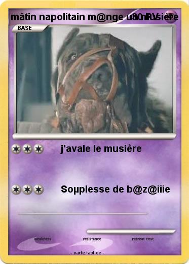 Pokemon mâtin napolitain m@nge un musière