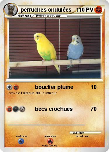 Pokemon perruches ondulées