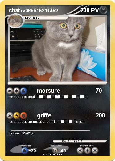 Pokemon chat