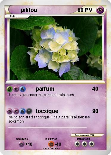 Pokemon pilifou