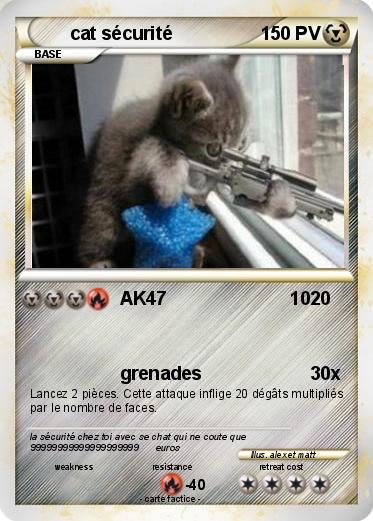 Pokemon cat sécurité