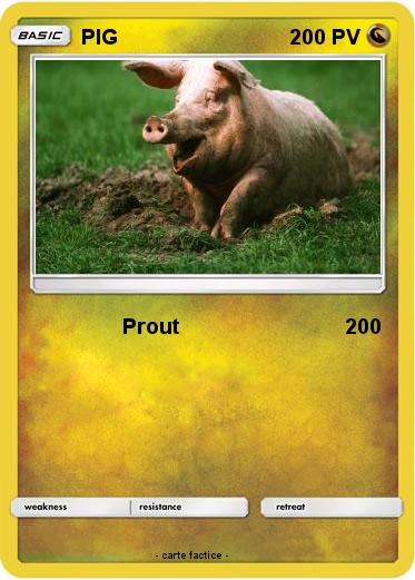 Pokemon PIG