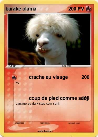Pokemon barake olama