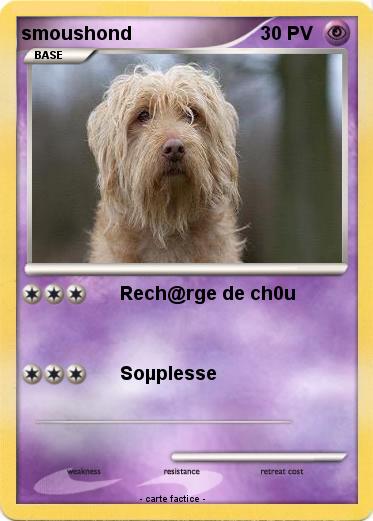 Pokemon smoushond